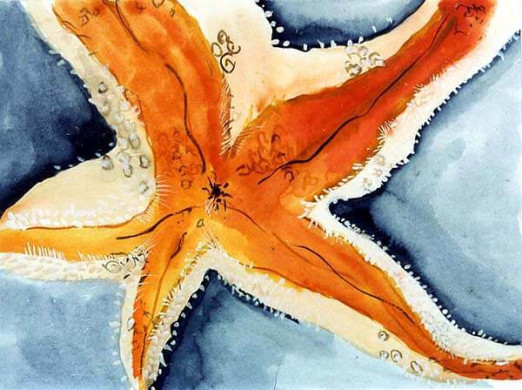 Starfish