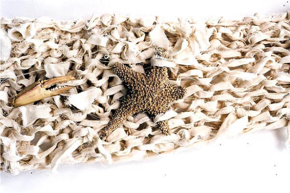 Starfish