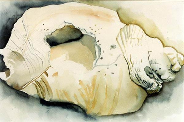 Conch With Hole